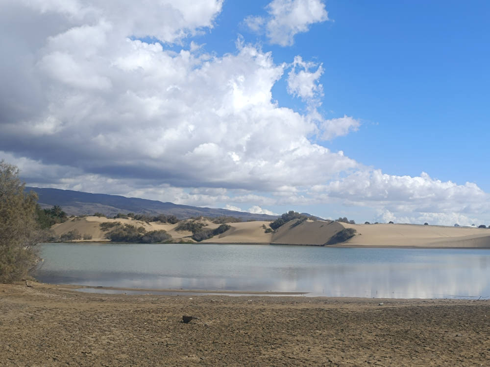 Charca Maspalomas