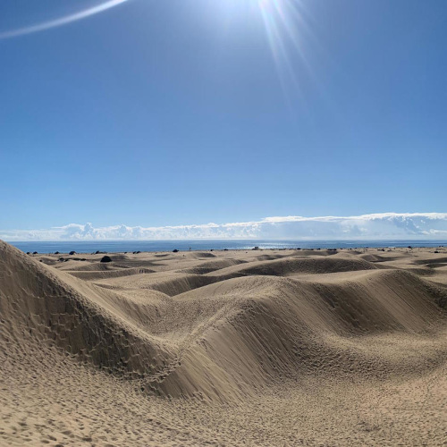 Dunas Maspalomas 500