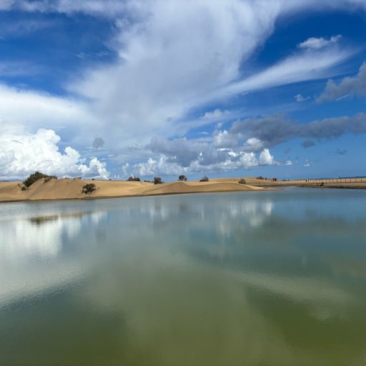 SUR DE GRAN CANARIAUn paraíso cercano