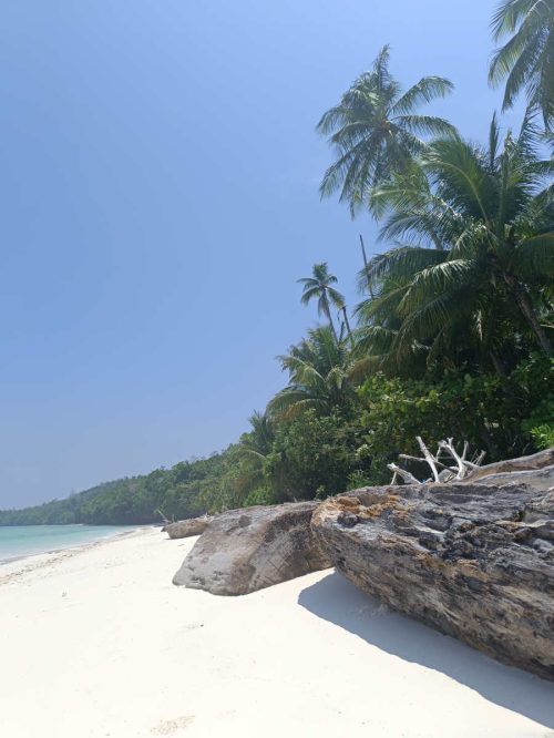 Playa Guesthouse Maratua